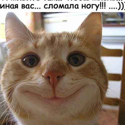 Ирина, 29 июня 2024
