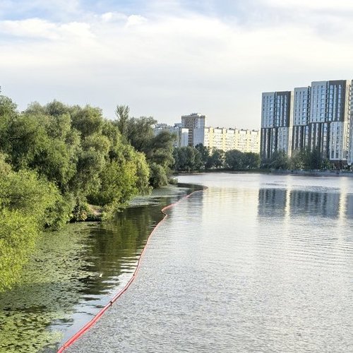 Виталий, 10 марта 2026