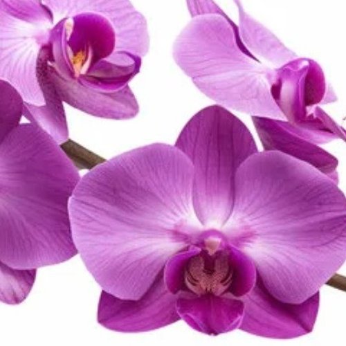 Наталия, 9 апреля 2026